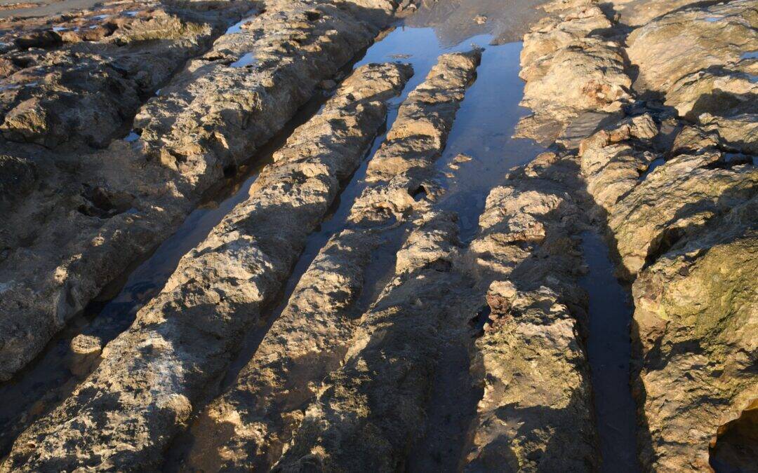 Marokko – Wissenschaft, Geschichte und neue Horizonte