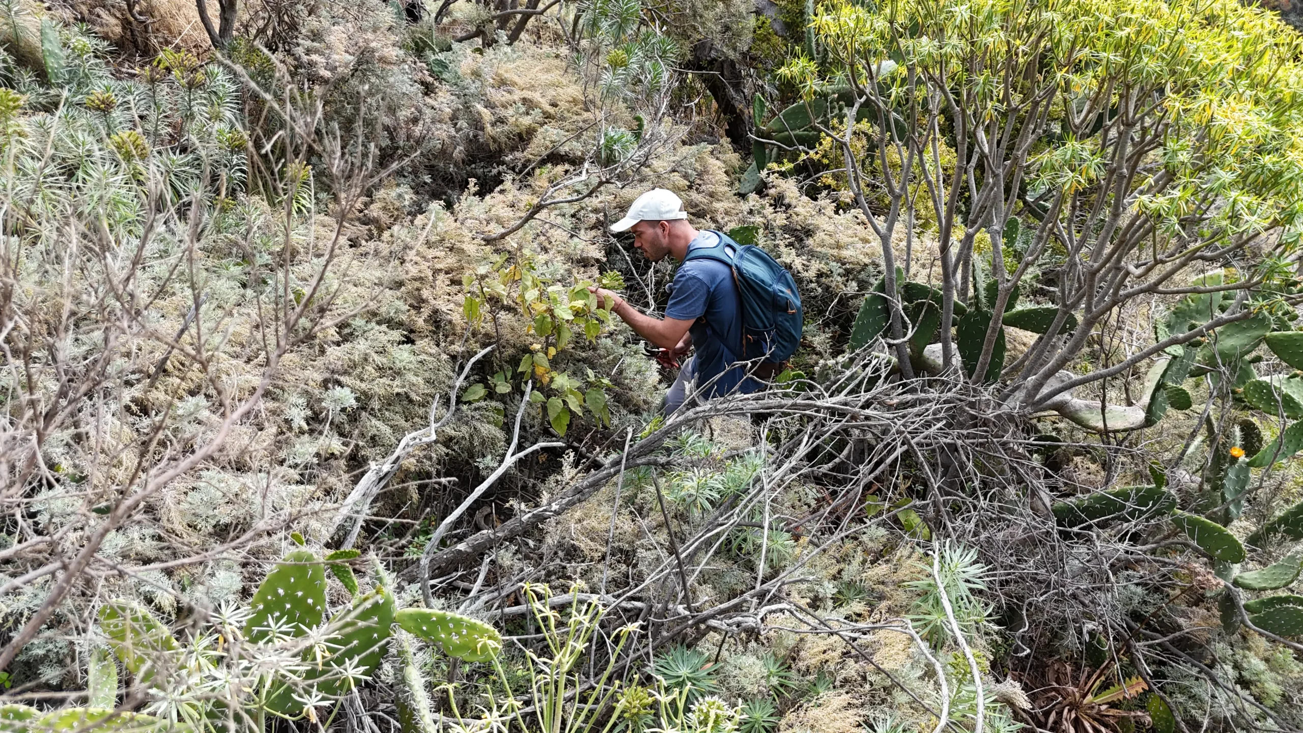 DJI_20250621125907_0001_D