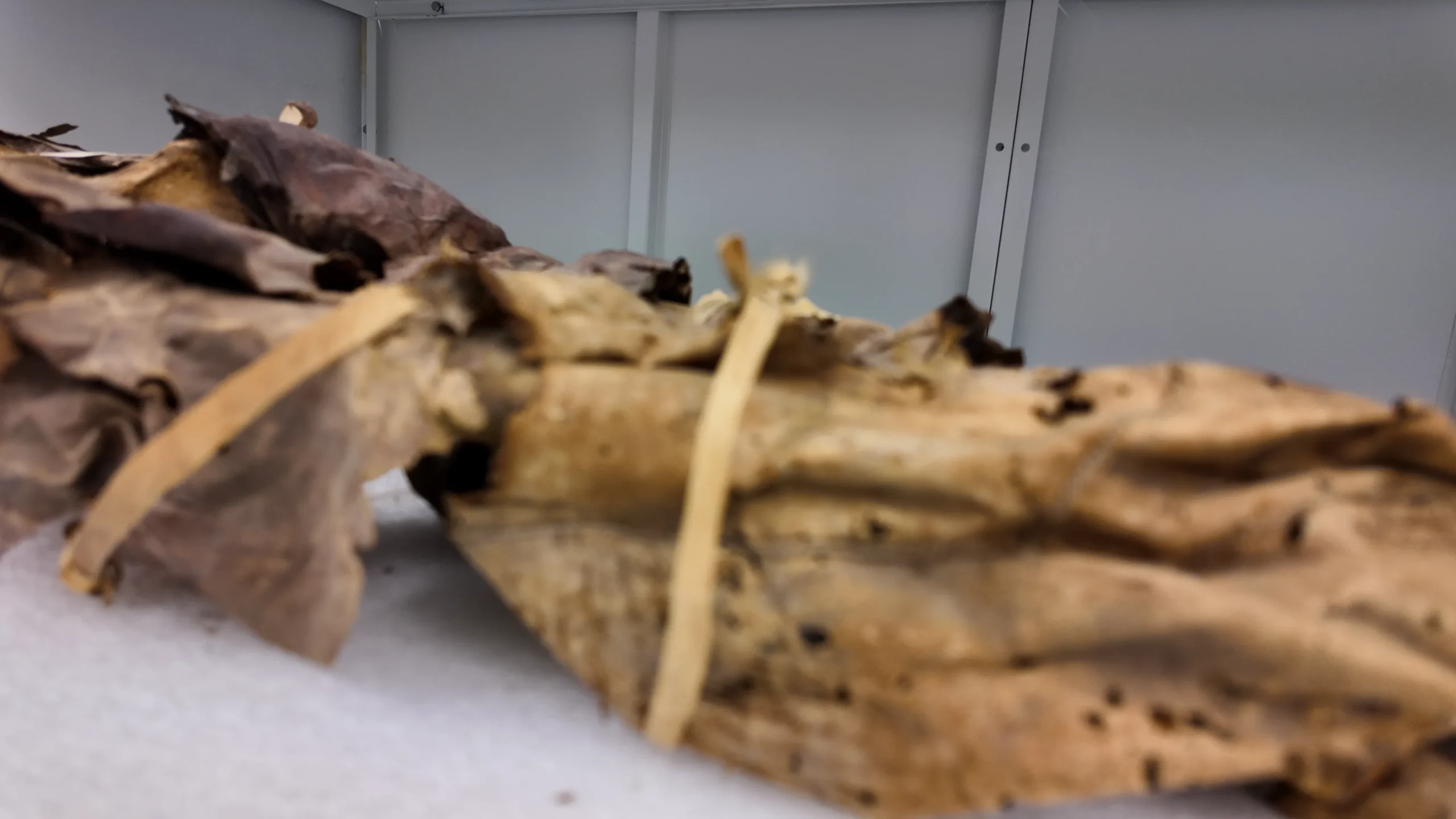 DJI_21110331133145_0818_D