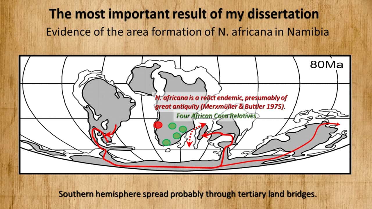 Dispersal pattern 01