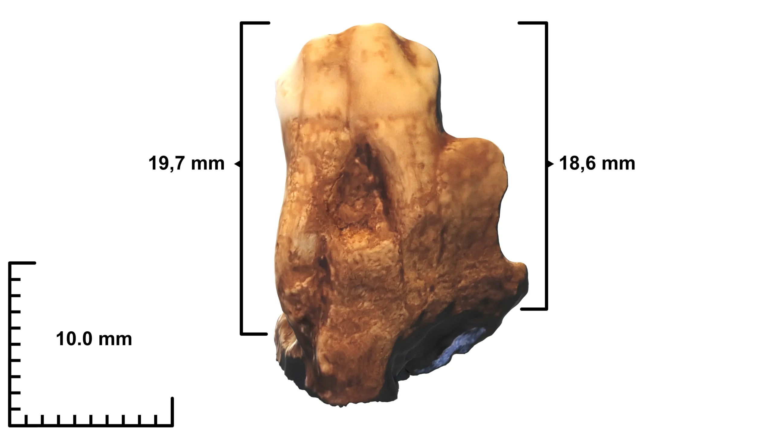 Tooth of Lanzarote View 1